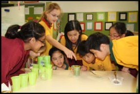 Classroom Science Photo